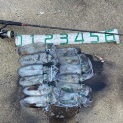 2023 佐渡ヶ島エギング 19回目【9月28日】