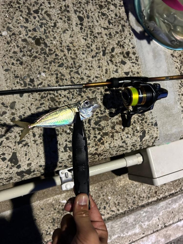 南蛮が食べたくなったのでアジング