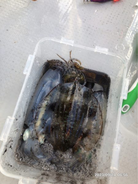 9/24 鳴門ジギング&ティップラ…