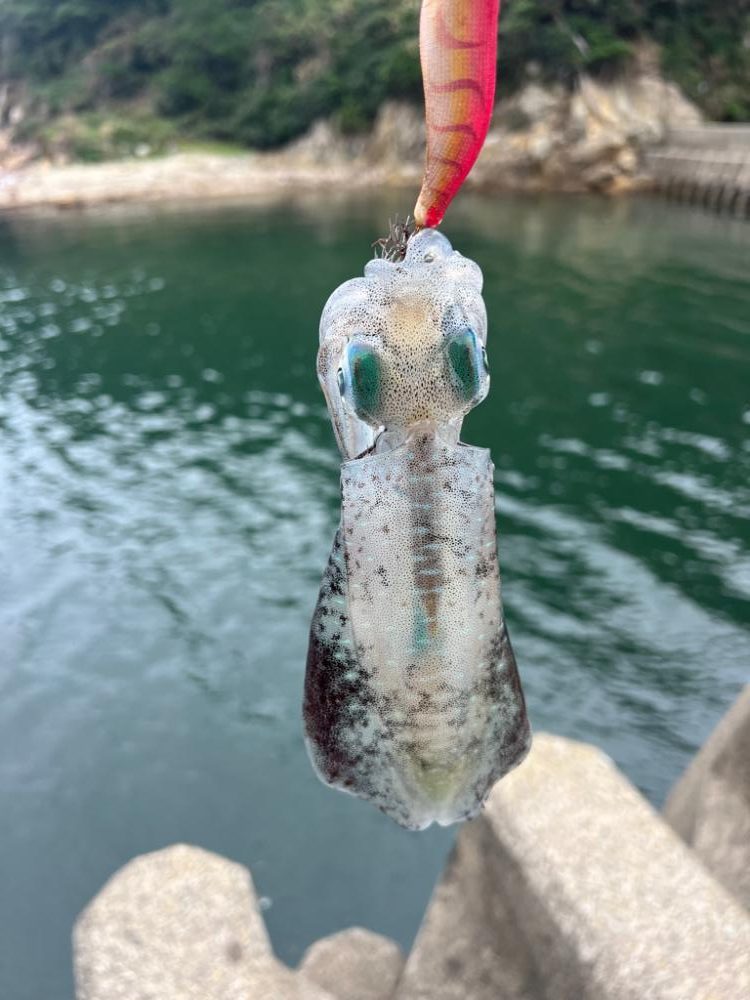 ちょっと迎えまで時間潰し🦑