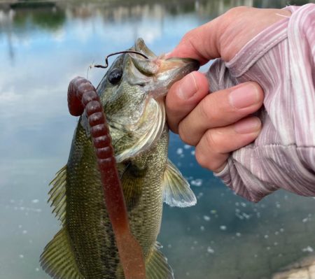 ロングワームにて