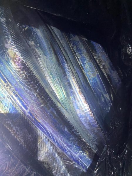 アタリの日でした