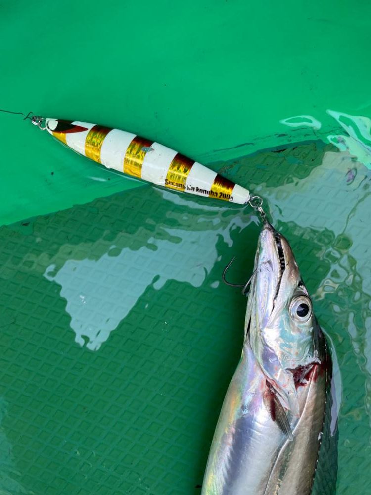 タチウオジギング