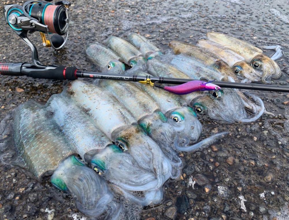 自己記録更新のエギングナイト&デイゲーム