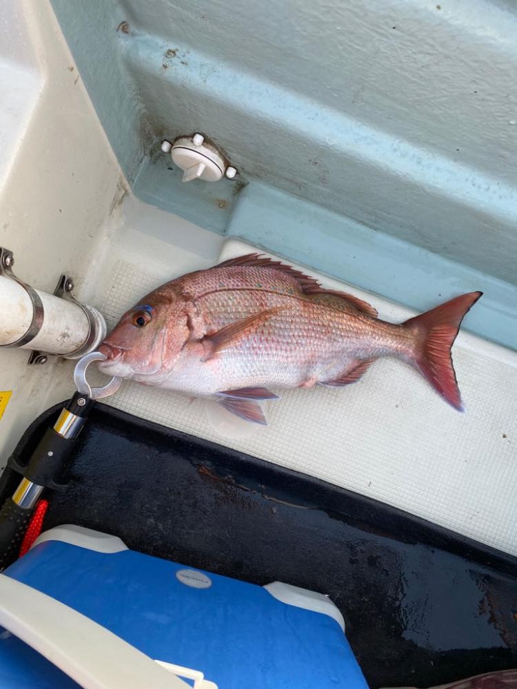 友人のボート釣行