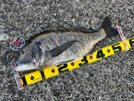 イベント追い込み