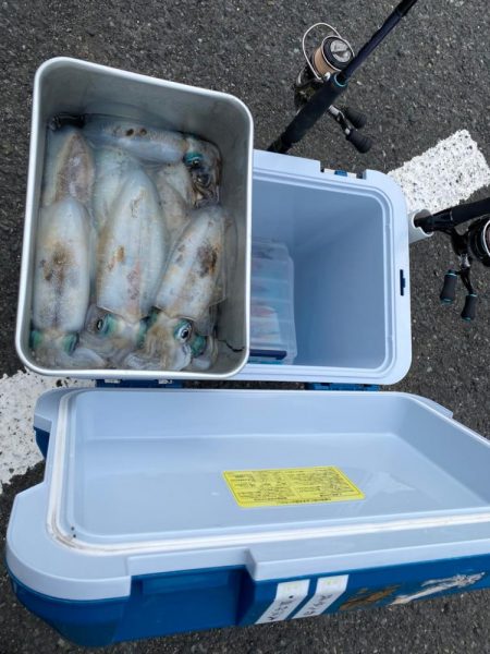 エギ回収のつもりがアオリ連発！！