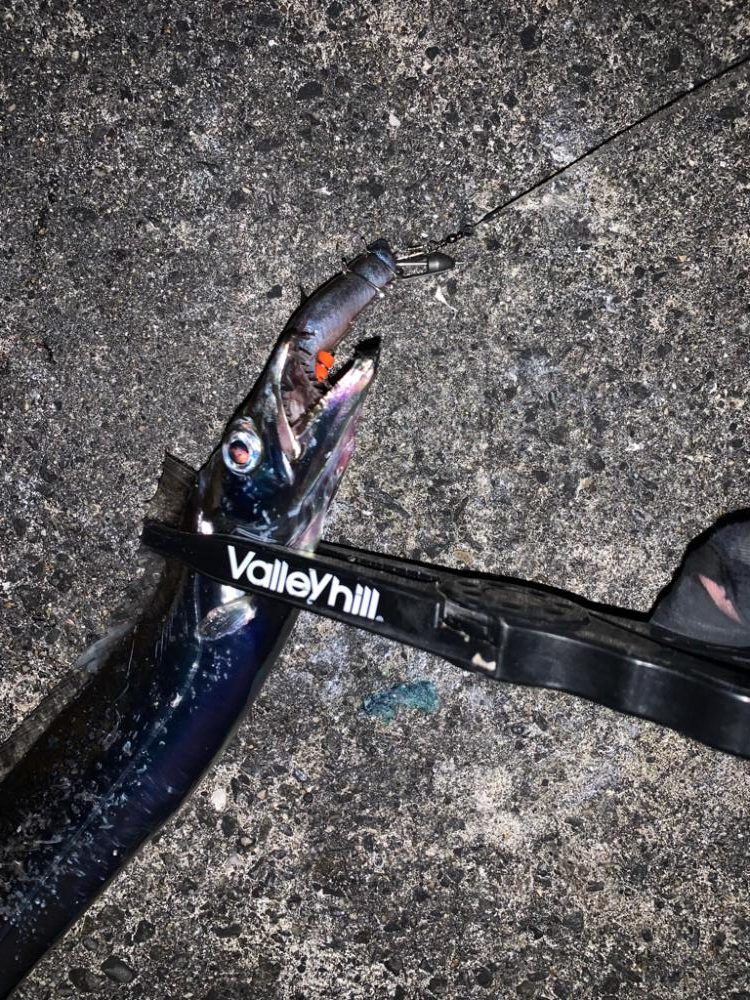 今シーズン初タチ！