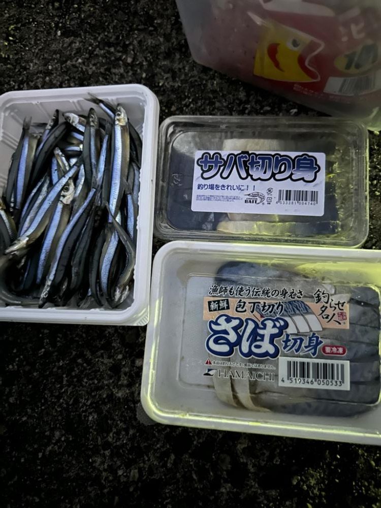 太刀魚釣り、キス釣り