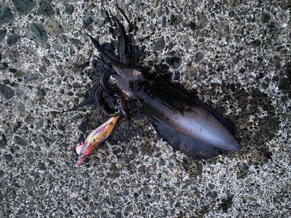 夕方から
