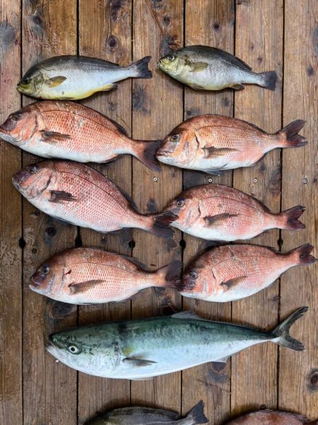 初めて辨屋さんへ行ってきました！