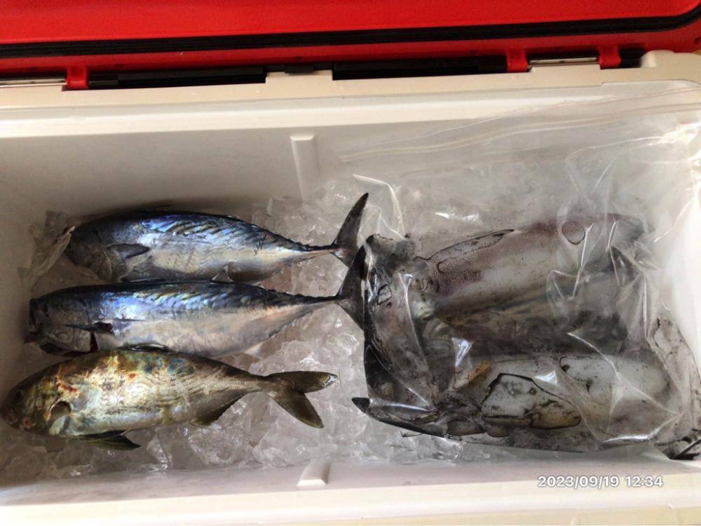 9/19 橘湾ティップラン 伊島沖ジギング