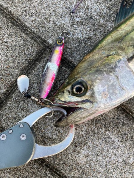 ⭐️ハットトリ…