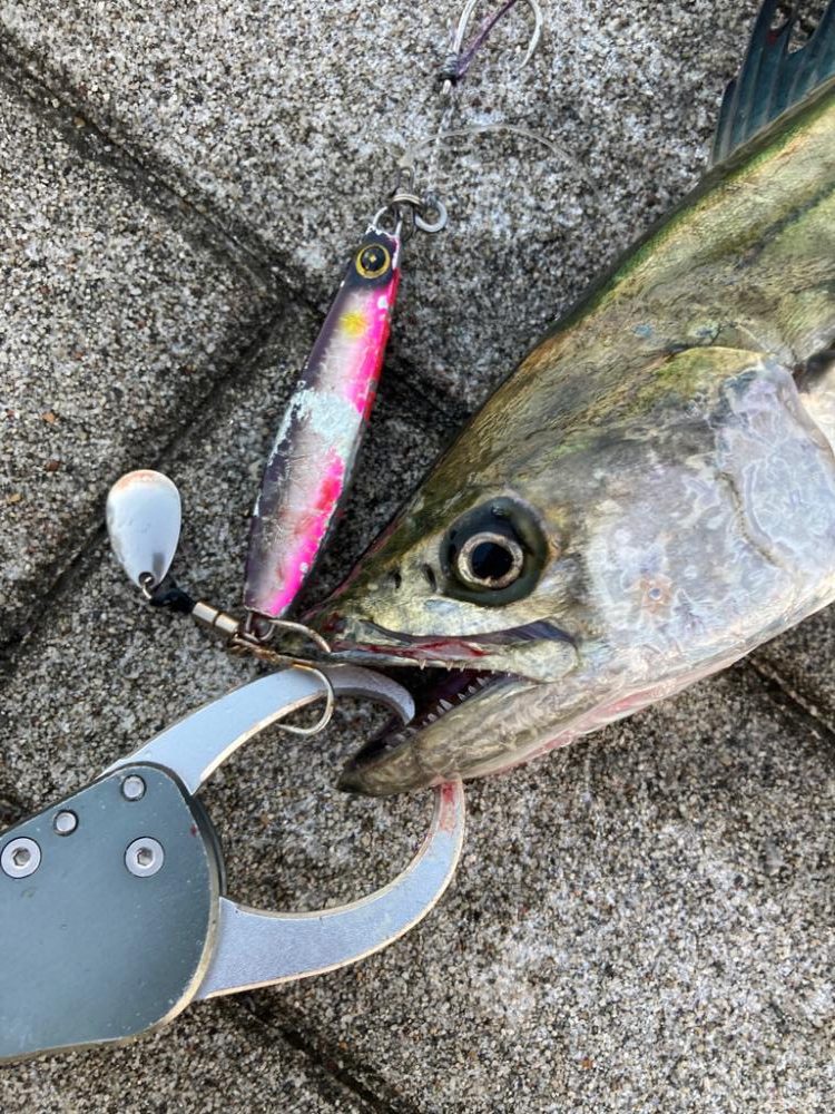 ⭐️ハットトリック