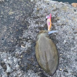 渋い、渋い、渋い〜