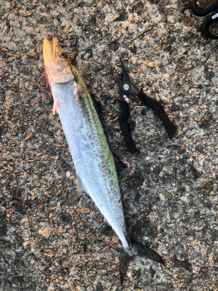 武庫川一文字で…