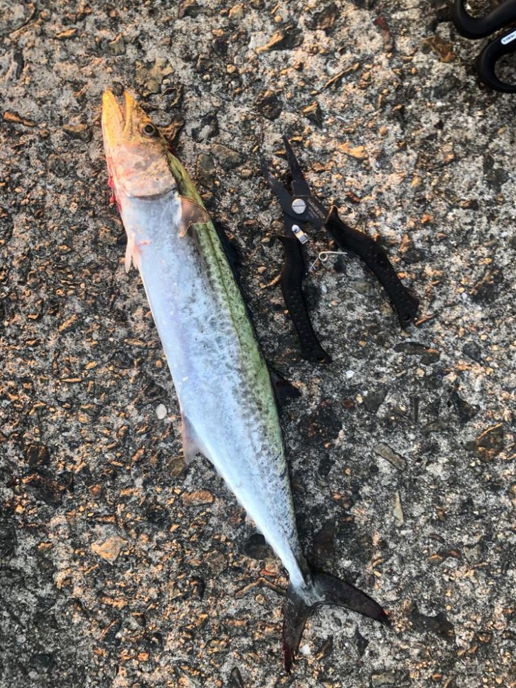 武庫川一文字で…