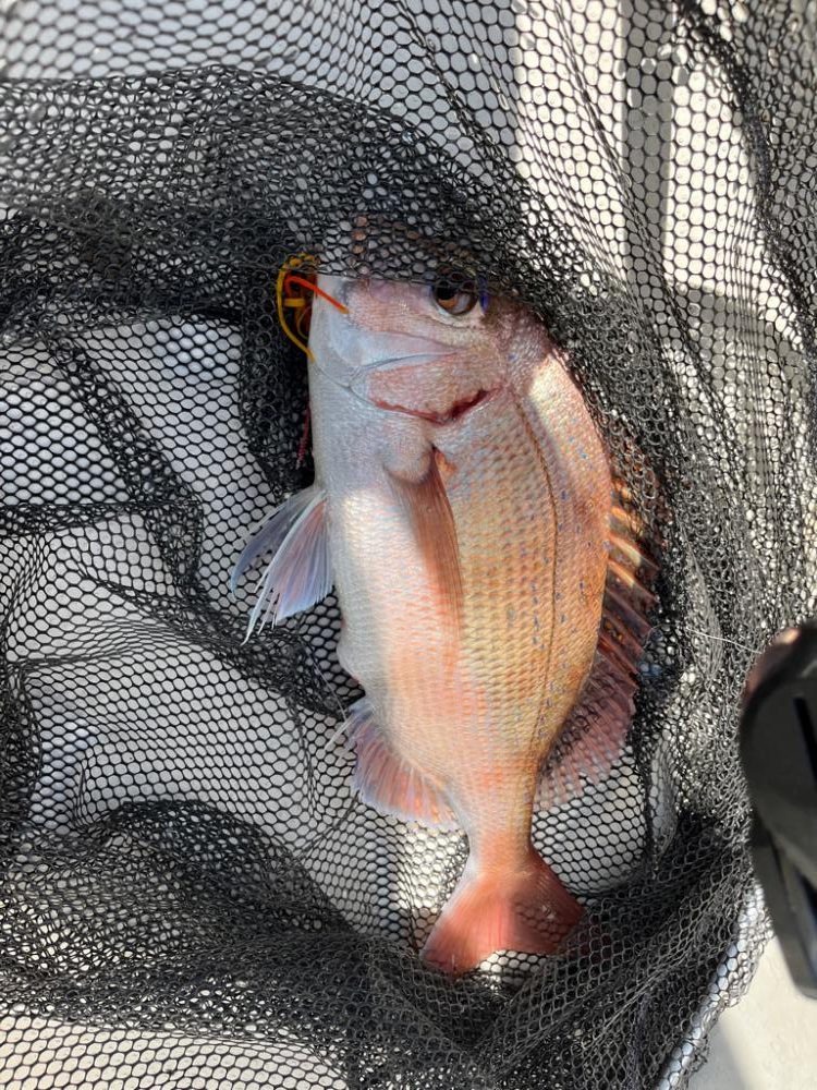 レンタルボートでタイラバ