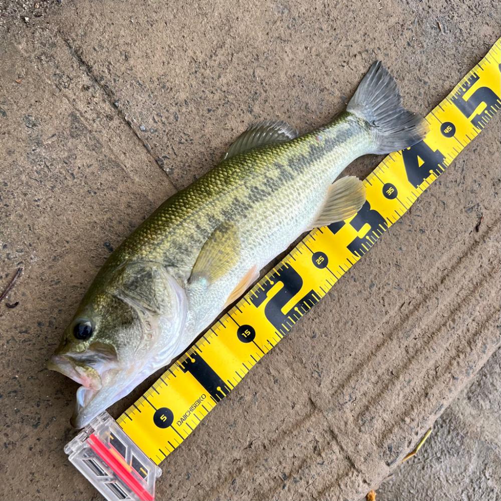 早起きは三文の徳💰笑