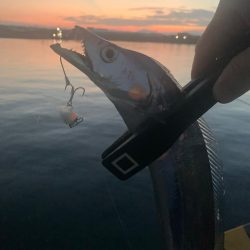 時合いはたったの10分。