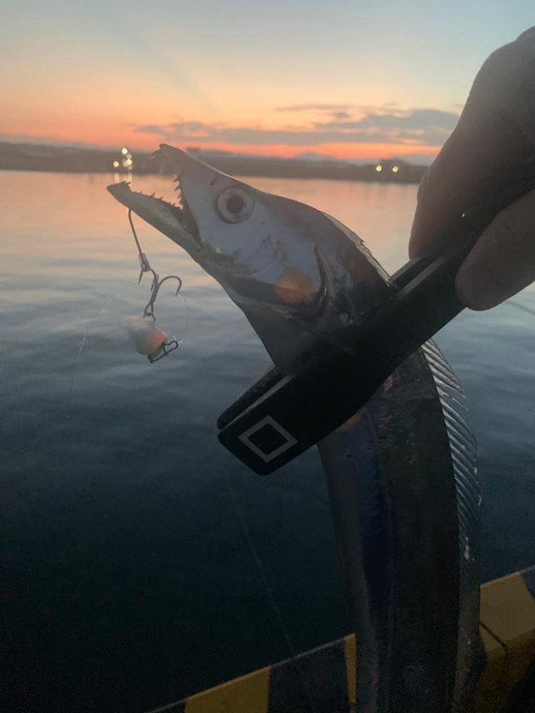 時合いはたったの10分。