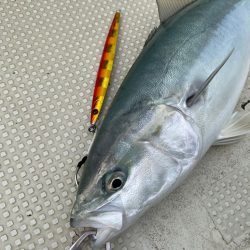 明石沖ジギング