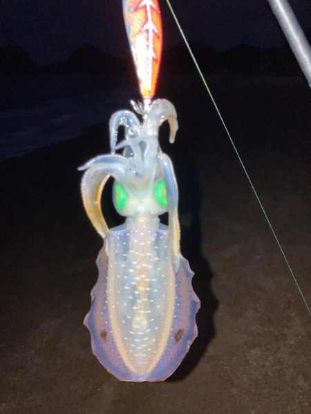 もうそんなに暑く無いかな？