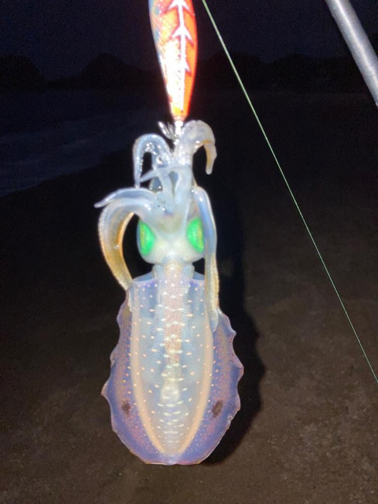 もうそんなに暑く無いかな？