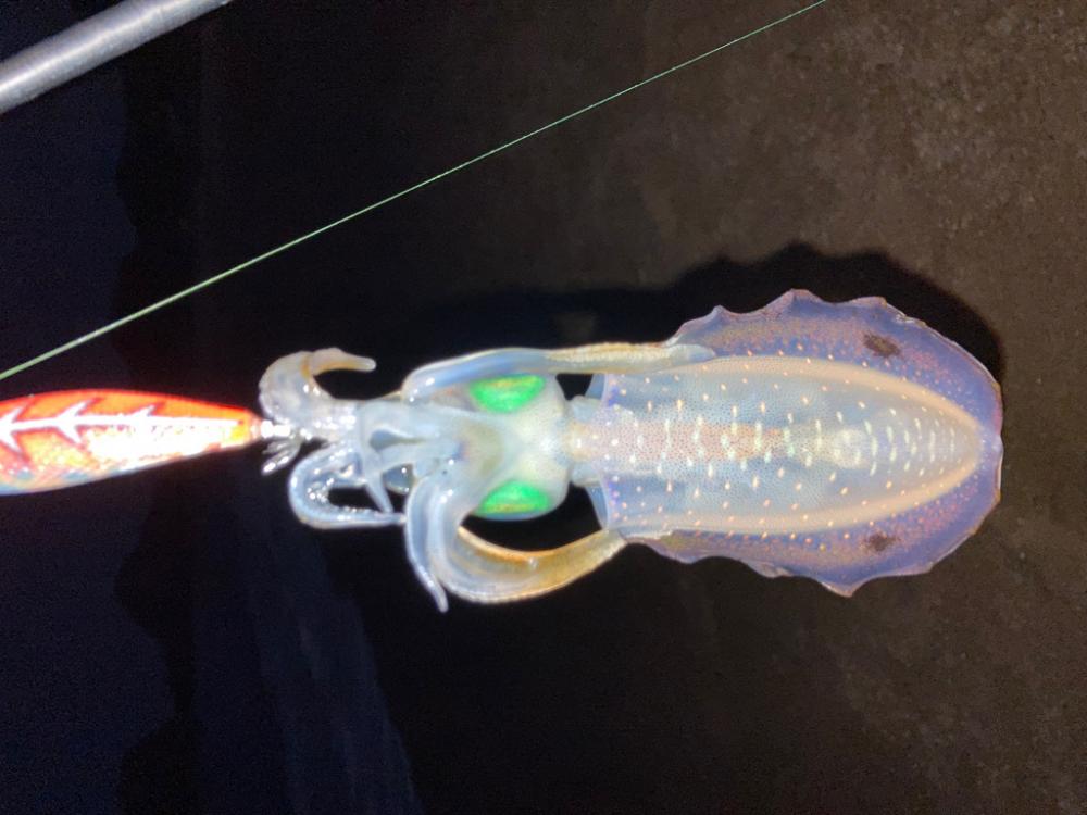 もうそんなに暑く無いかな？