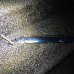 ワームで太刀魚