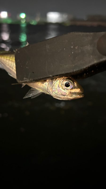 ジグヘッド形状