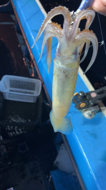 イカメタル終盤戦