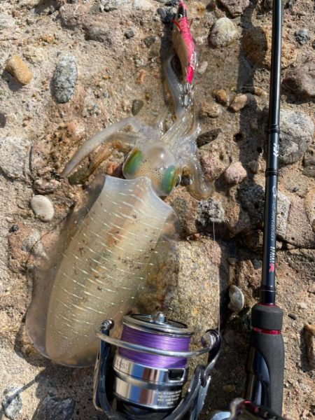 最後にサーフで