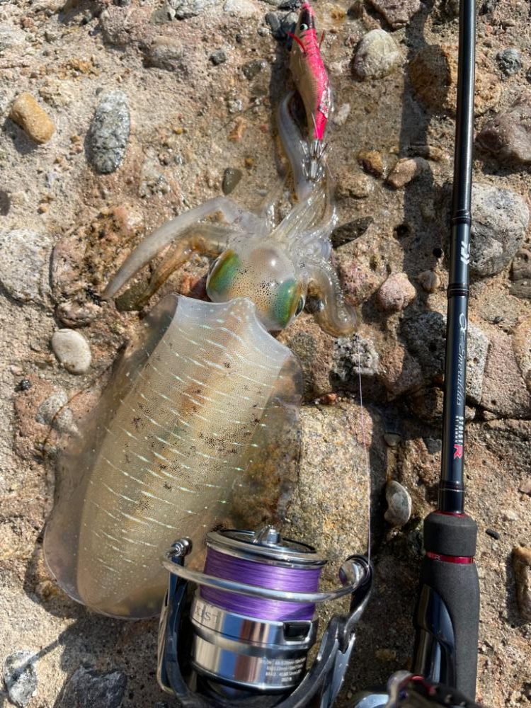 最後にサーフで