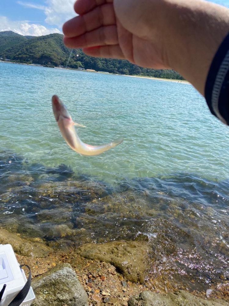 デイゲーム　なんでも釣り