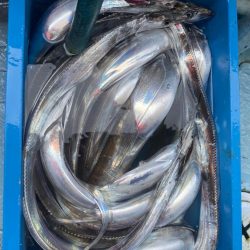 太刀魚釣り　純栄丸
