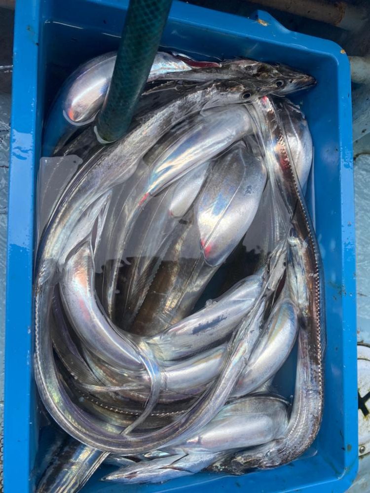 太刀魚釣り　純栄丸