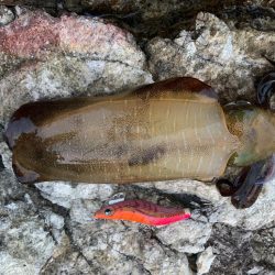 夜勤入り前にちょこっと