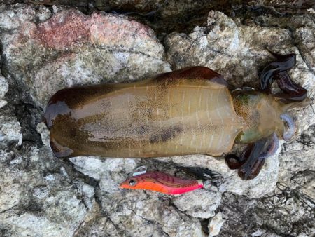 夜勤入り前にちょこっと