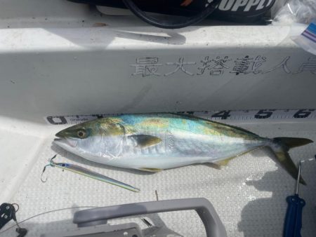 ボートジギング