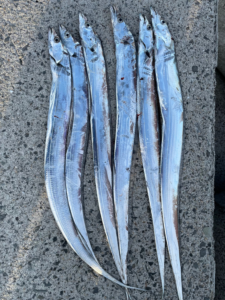 去年の爆釣日‼️ 今年は、、、