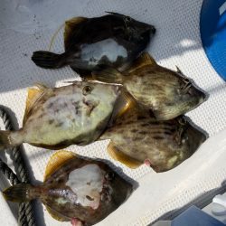 無限タチウオとカワハギ釣りに