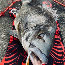 ヘチってきました