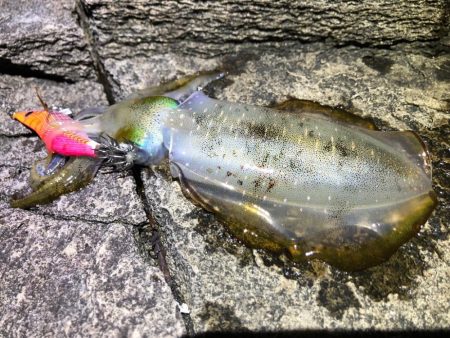 何とかリミットメイク