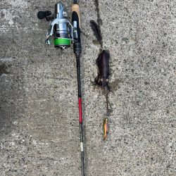 初アオリ初タチウオ