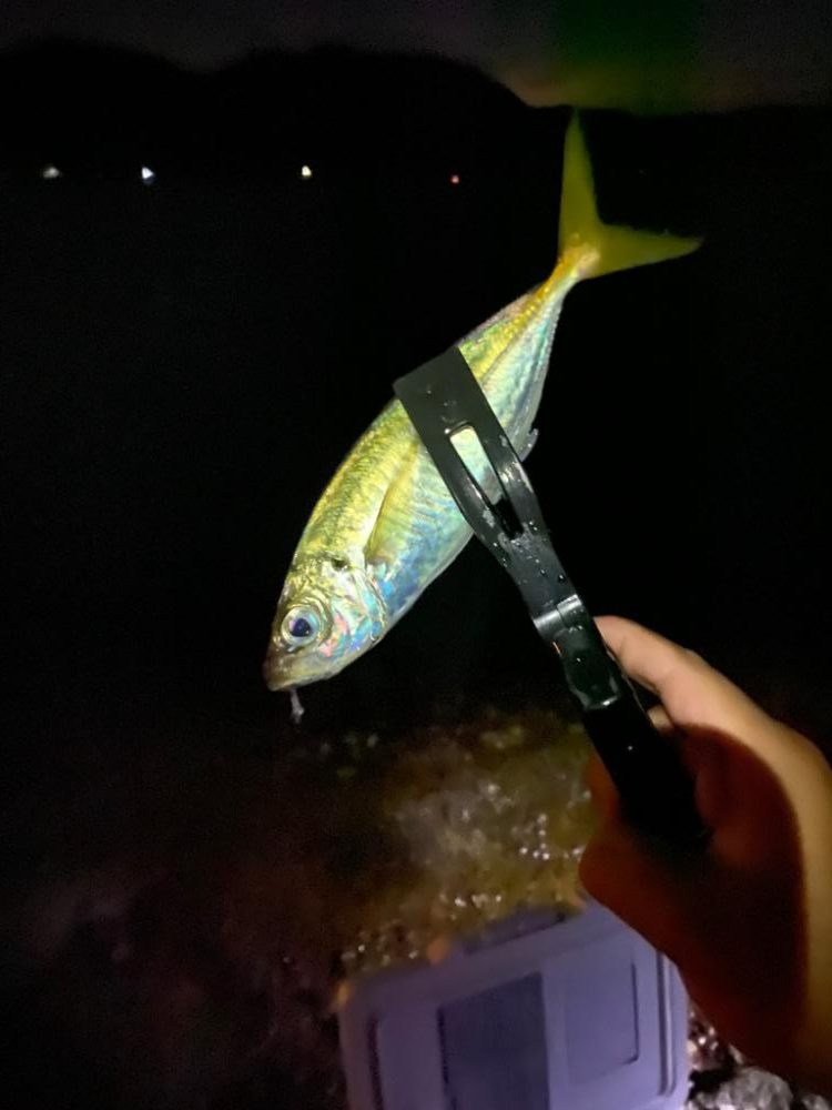 ライトちょい投げキスゲーム