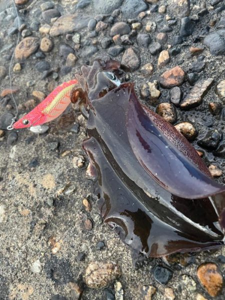 夜勤帰りに寄り道