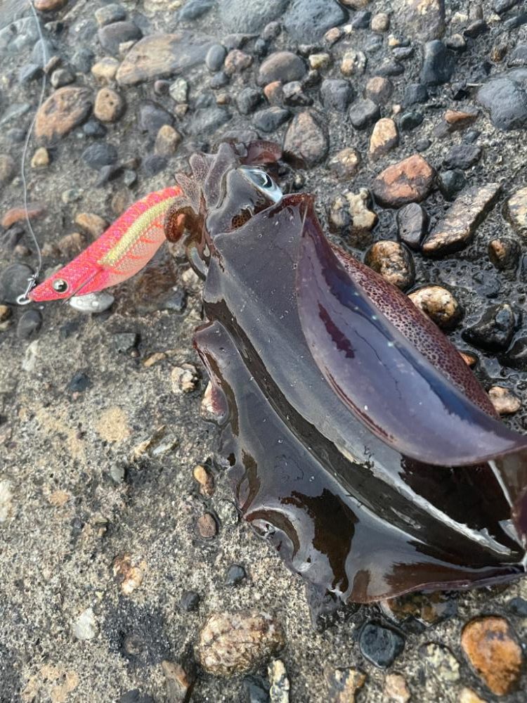 夜勤帰りに寄り道