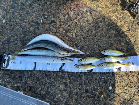 少しずつ秋の気配？