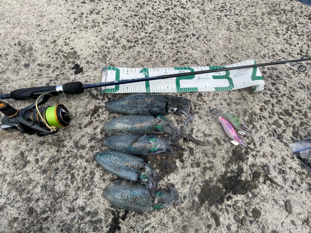 2023 佐渡ヶ島エギング 8回目【9月11日】